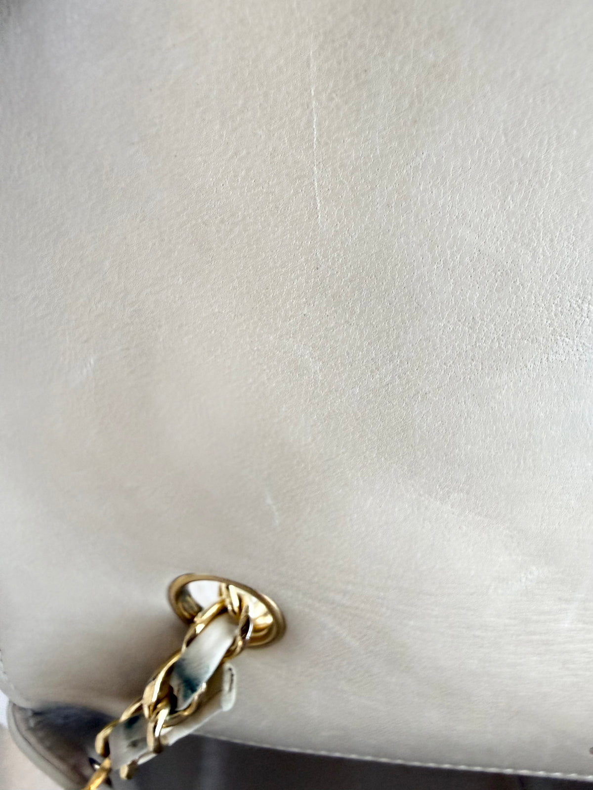 CHANEL Diana Flap Bag